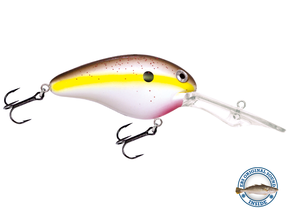 Livingston Lures Dive Master 20 | EBS Deep-Diving Crankbait