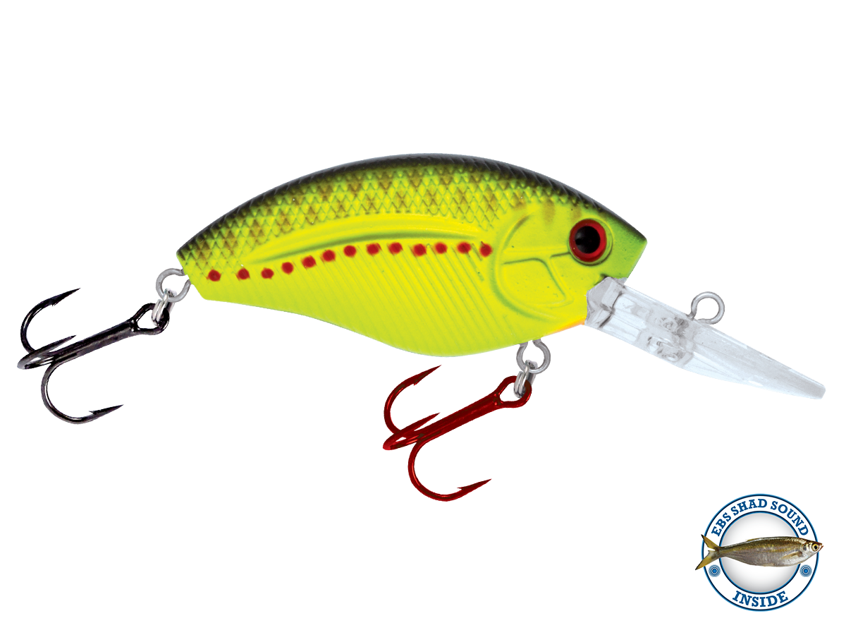 Livingston Lures Howeller DMC | EBS Medium-Diving Crankbait