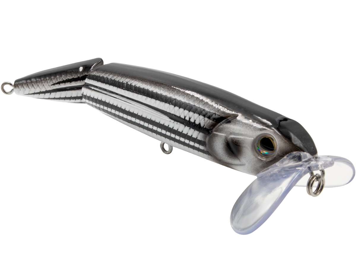 Livingston Lures Walking Boss II Jr. | 4" EBS Jointed Topwater
