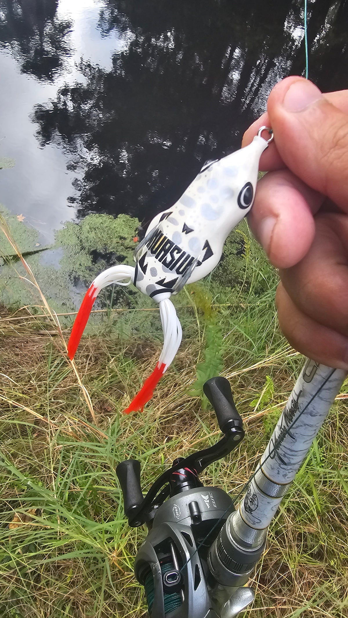 Invasive Lures Swamp Walker Hollow Body Frog
