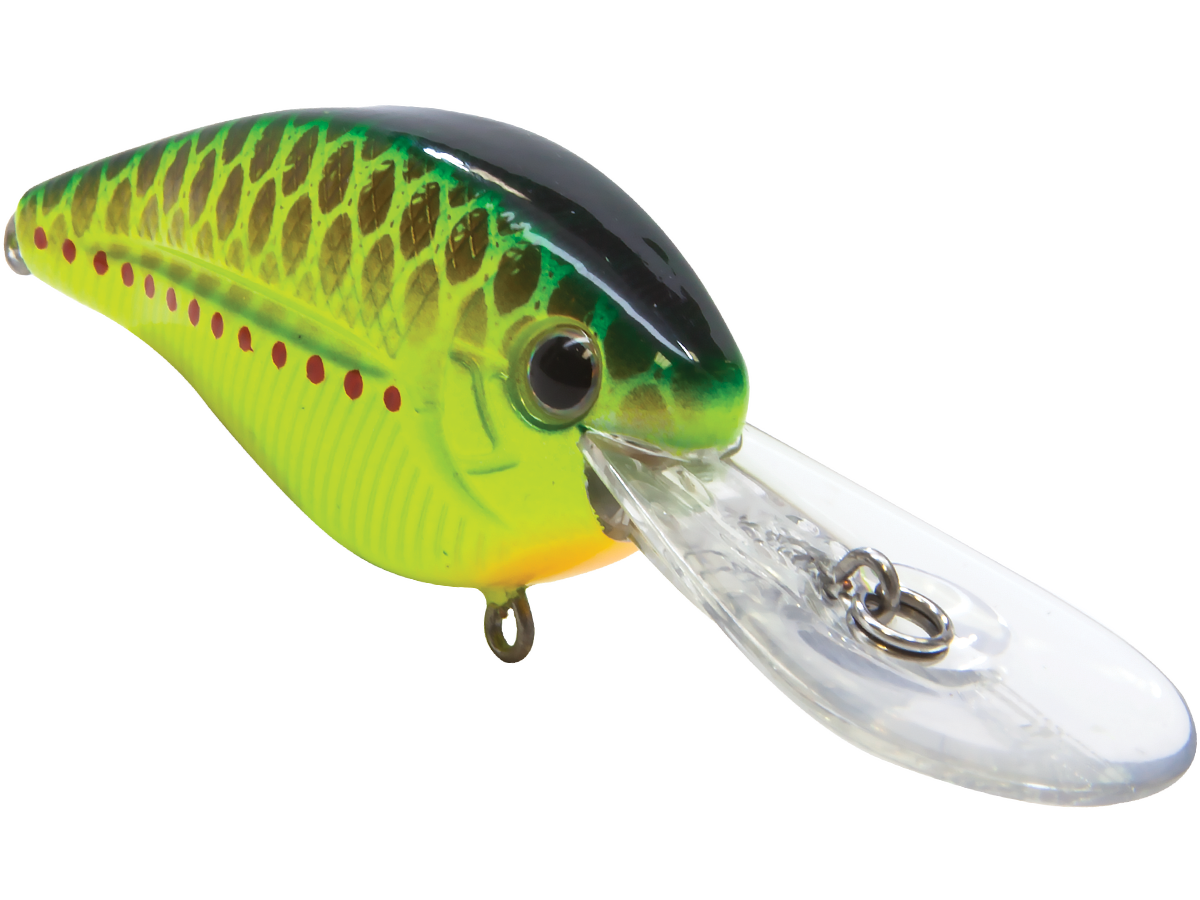 Livingston Lures FlatMaster | EBS Flat-Sided Crankbait