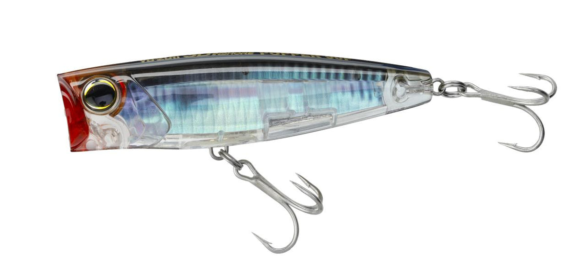 Yo-Zuri 3D Inshore Popper | Saltwater Topwater Lure