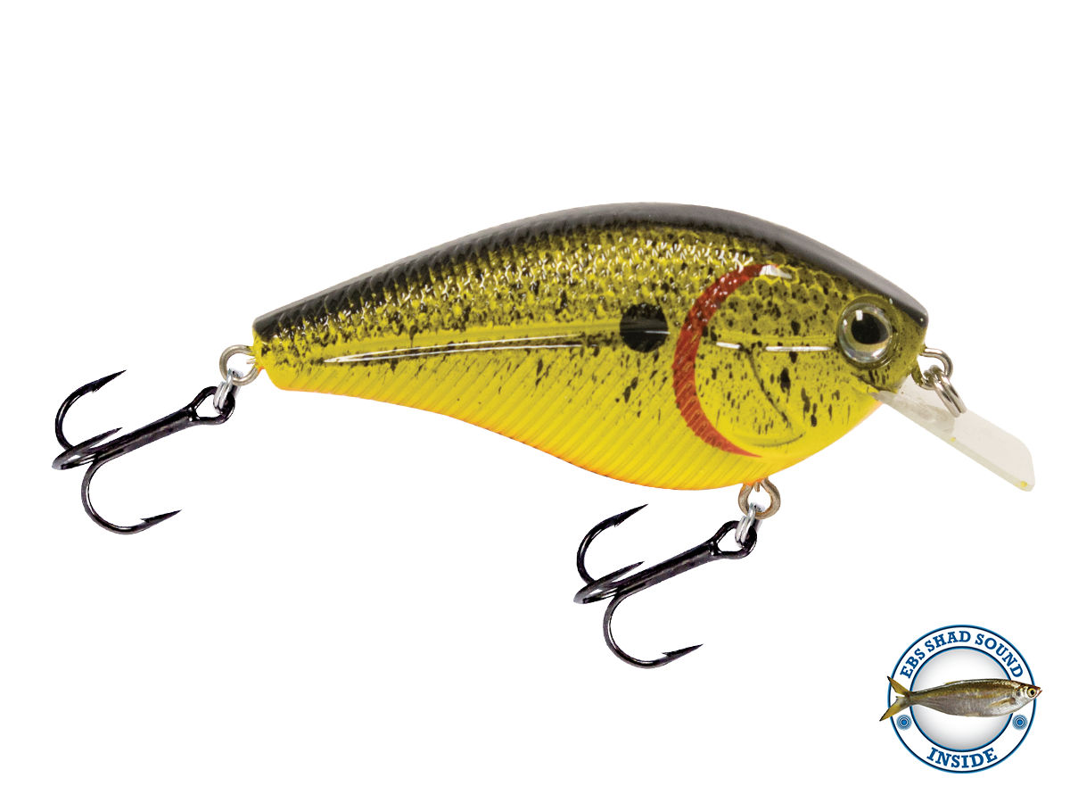 Livingston Lures Primetyme Square 2.0 | EBS Squarebill Crankbait