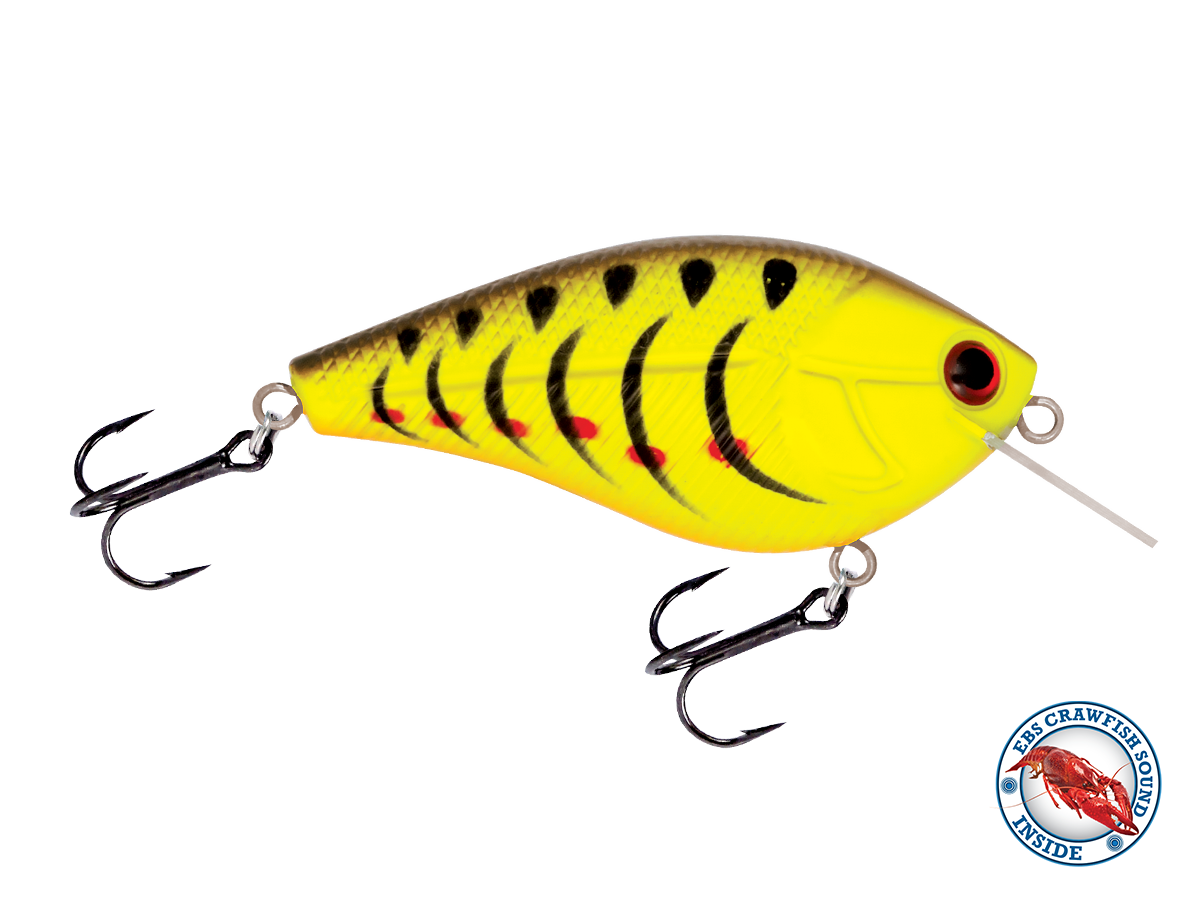 Livingston Lures Primetyme Square 2.0 | EBS Squarebill Crankbait