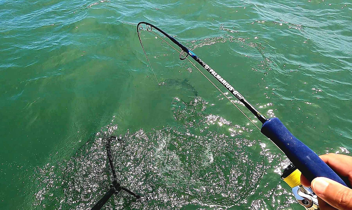 Palmarius P+ Gen 2 Blue EVA Slow Pitch Jigging Rod
