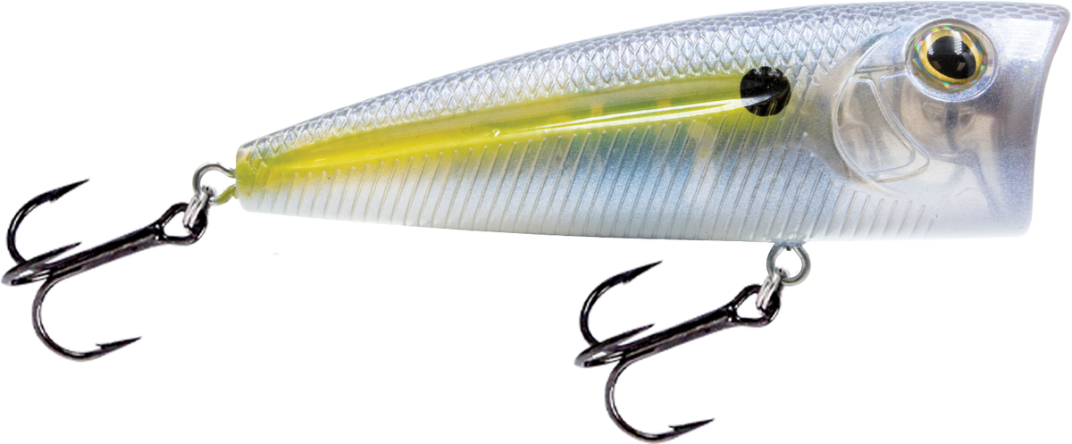 Livingston Lures Walk N Pop 67 | EBS Walking Topwater Popper