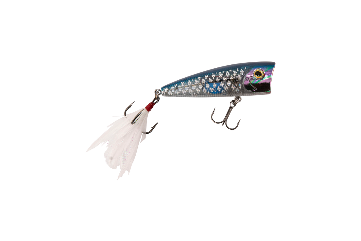 Livingston Lures Walk N Pop 67 | EBS Walking Topwater Popper