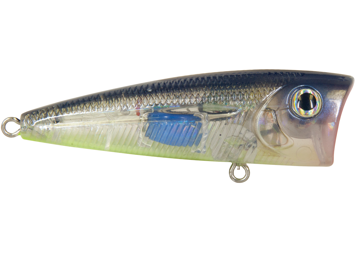 Livingston Lures Walk N Pop 67 | EBS Walking Topwater Popper