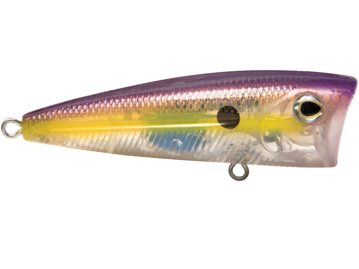 Livingston Lures Walk N Pop 67 | EBS Walking Topwater Popper