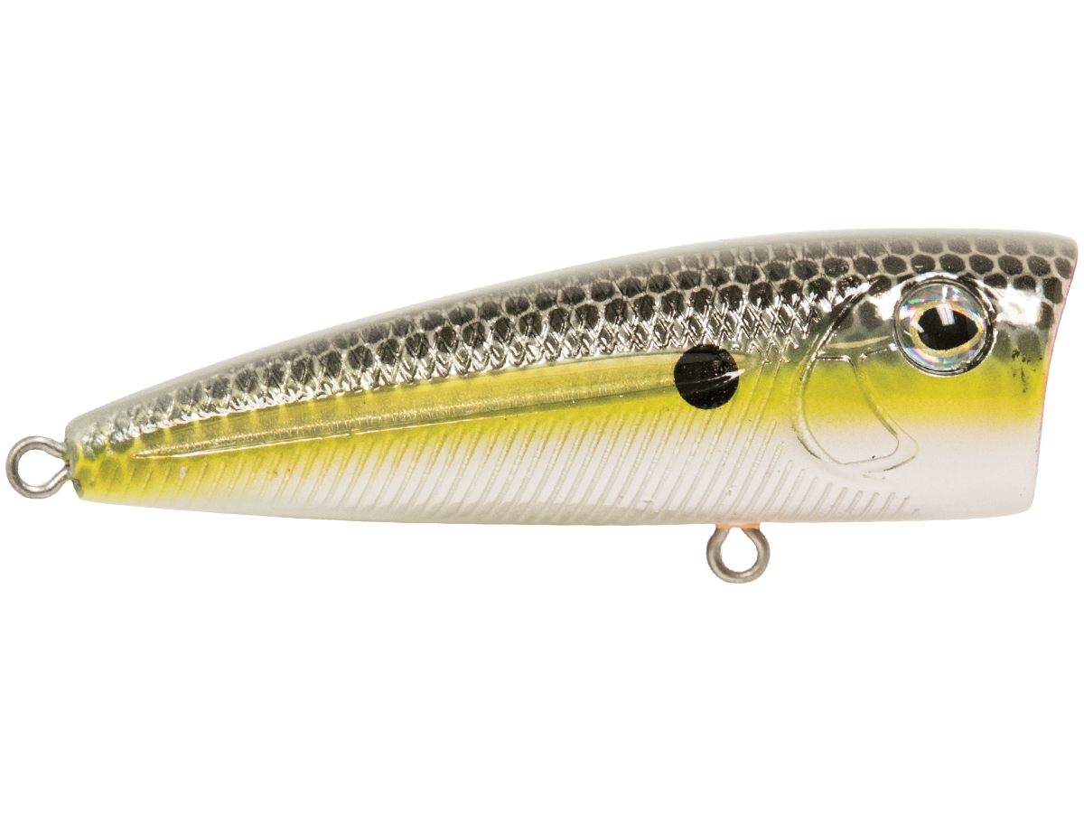 Livingston Lures Walk N Pop 67 | EBS Walking Topwater Popper