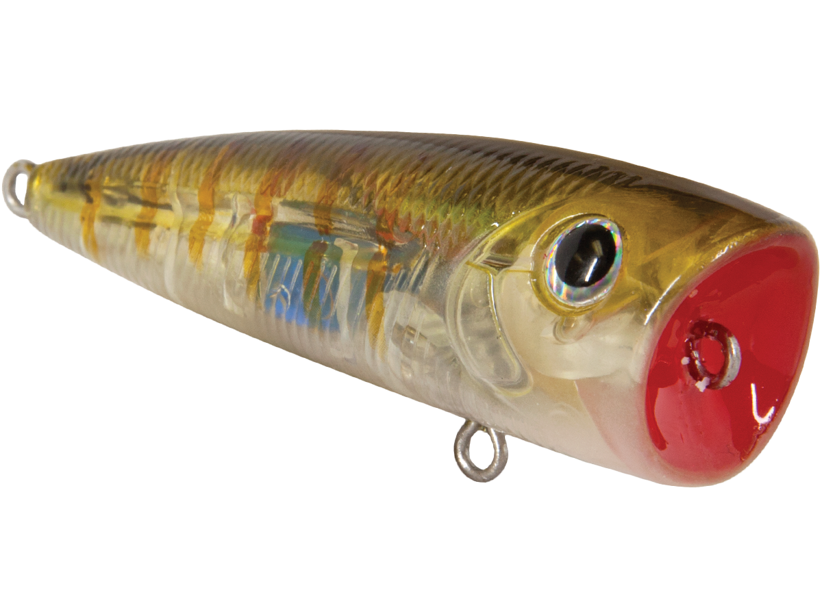 Livingston Lures Walk N Pop 67 | EBS Walking Topwater Popper