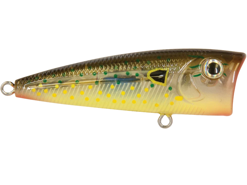 Livingston Lures Walk N Pop 67 | EBS Walking Topwater Popper