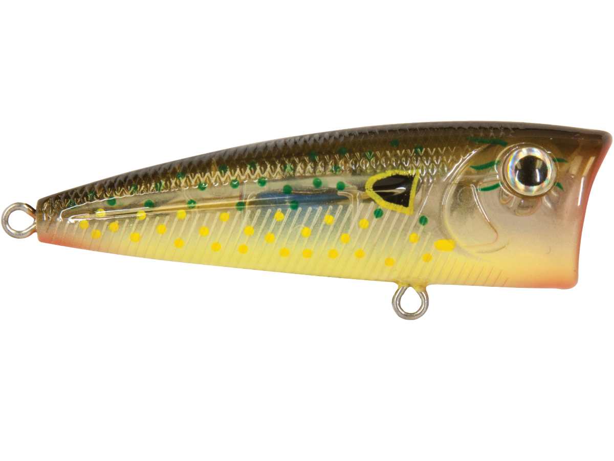 Livingston Lures Walk N Pop 67 | EBS Walking Topwater Popper