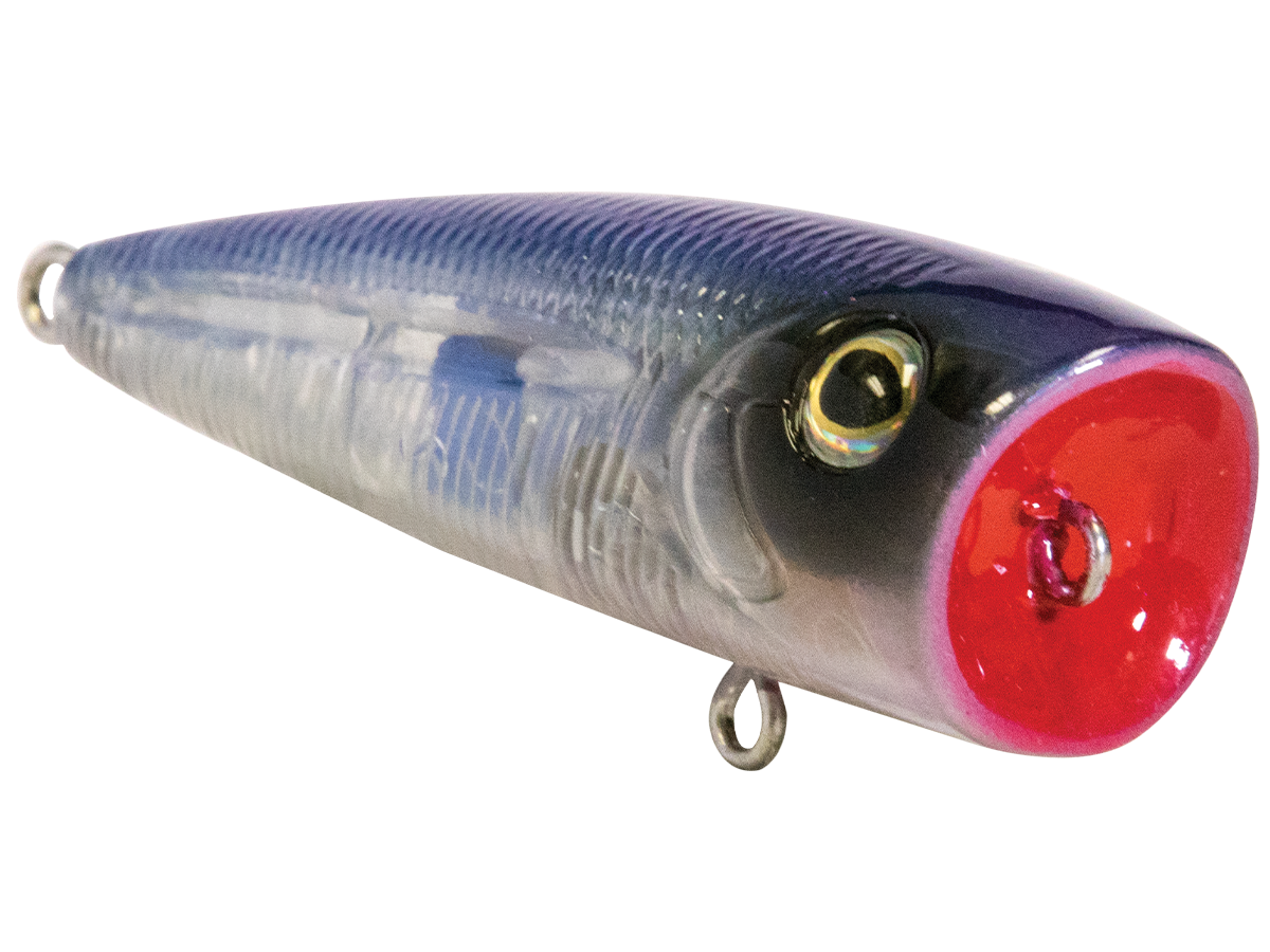 Livingston Lures Walk N Pop 67 | EBS Walking Topwater Popper