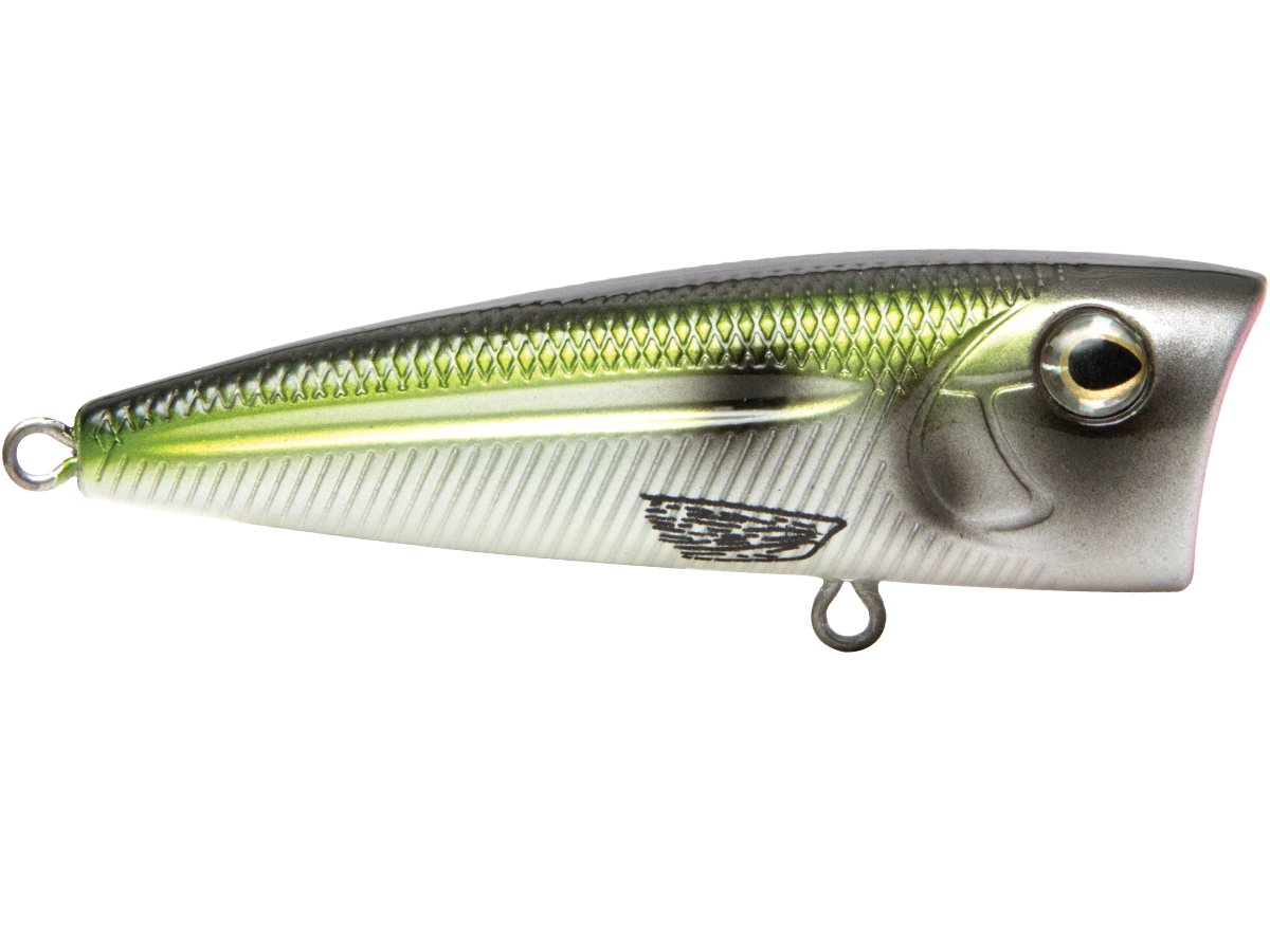 Livingston Lures Walk N Pop 67 | EBS Walking Topwater Popper