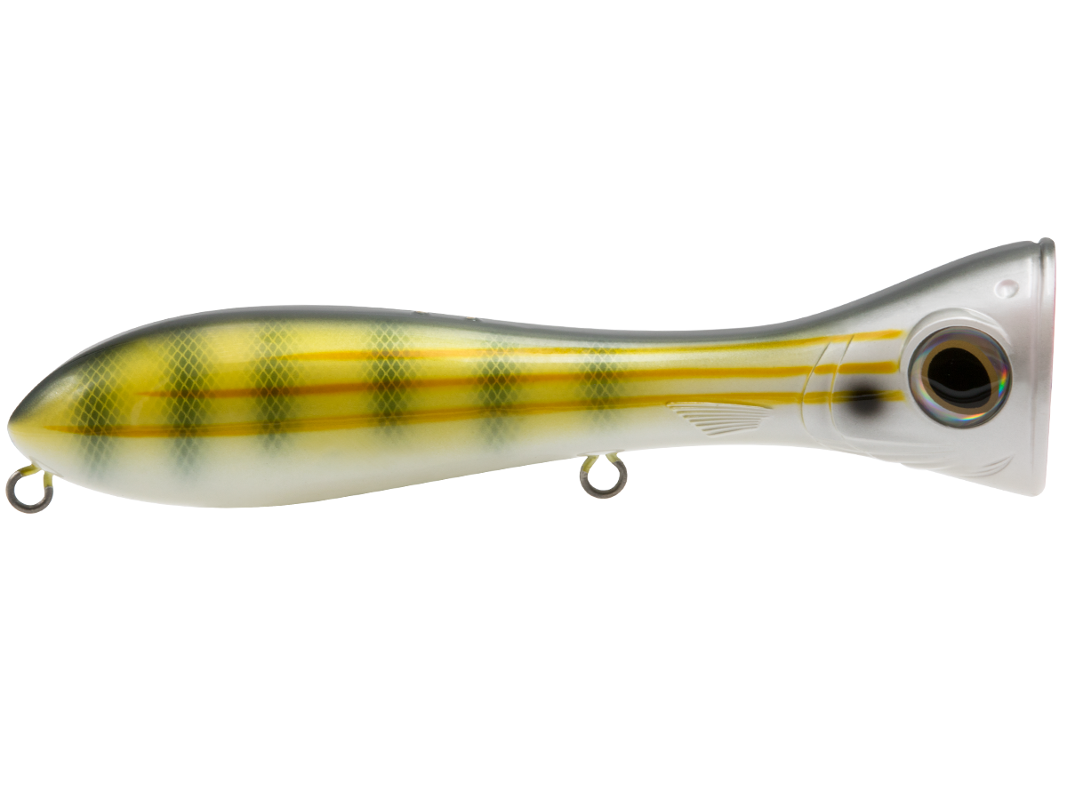 Livingston Lures Big Poppa 6 | EBS Saltwater Topwater Popper