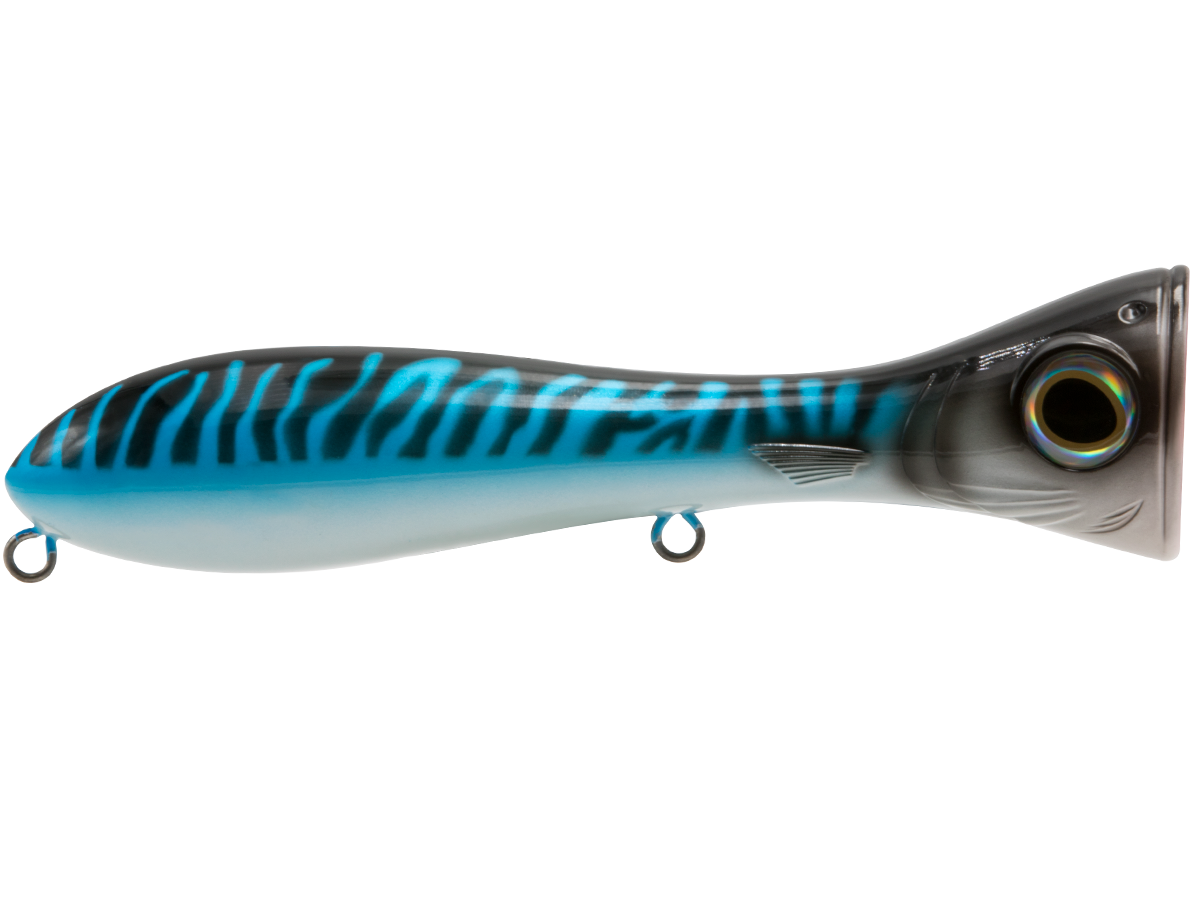 Livingston Lures Big Poppa 6 | EBS Saltwater Topwater Popper