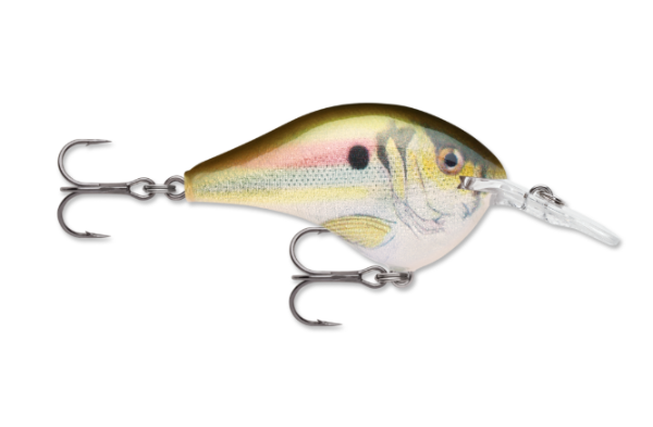 Realistic green and silver live river shad fishing lure with two treble hooks.