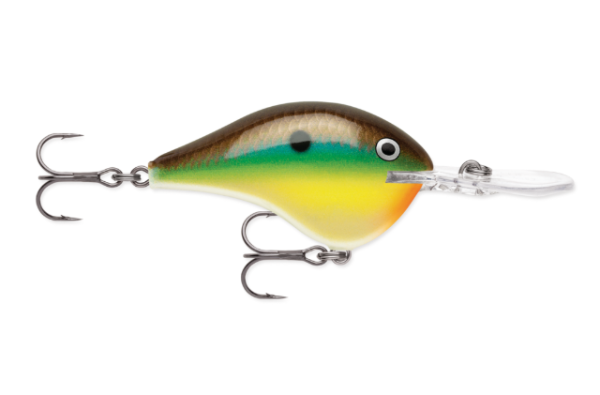 Side view of a colorful Rapala fishing lure with brown, green, yellow, and orange.