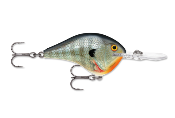 Rapala DT Series 12' 3/5 oz 2.25" Live River Shad - ReelFishCartel
