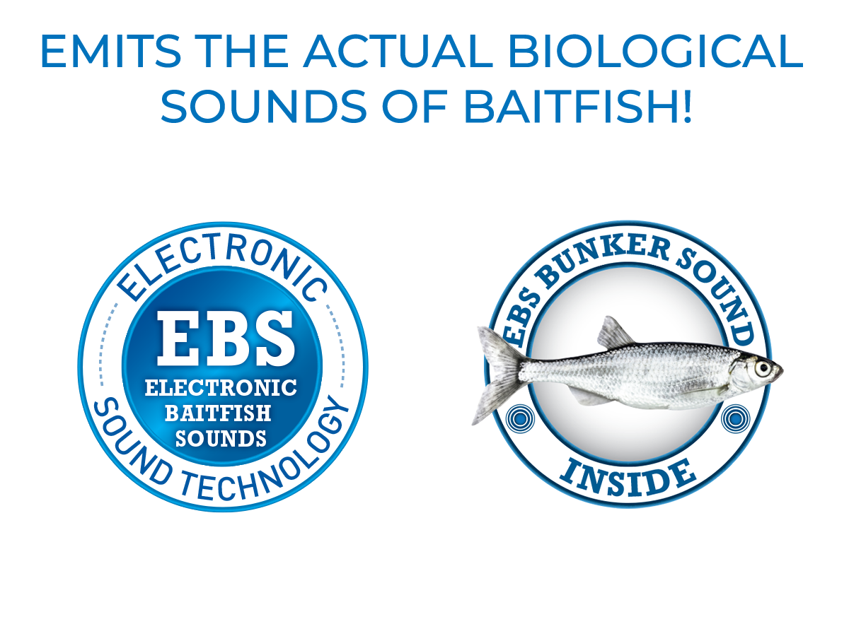Livingston Lures Big Poppa 6 | EBS Saltwater Topwater Popper