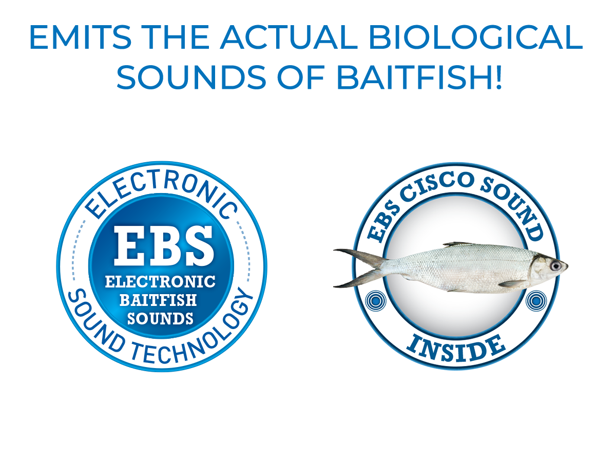 Livingston Lures Open Water Caller | EBS Cisco Sound Attractor