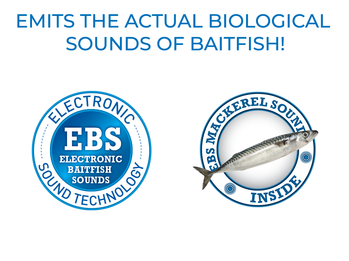 Livingston Lures Big Poppa 6 | EBS Saltwater Topwater Popper