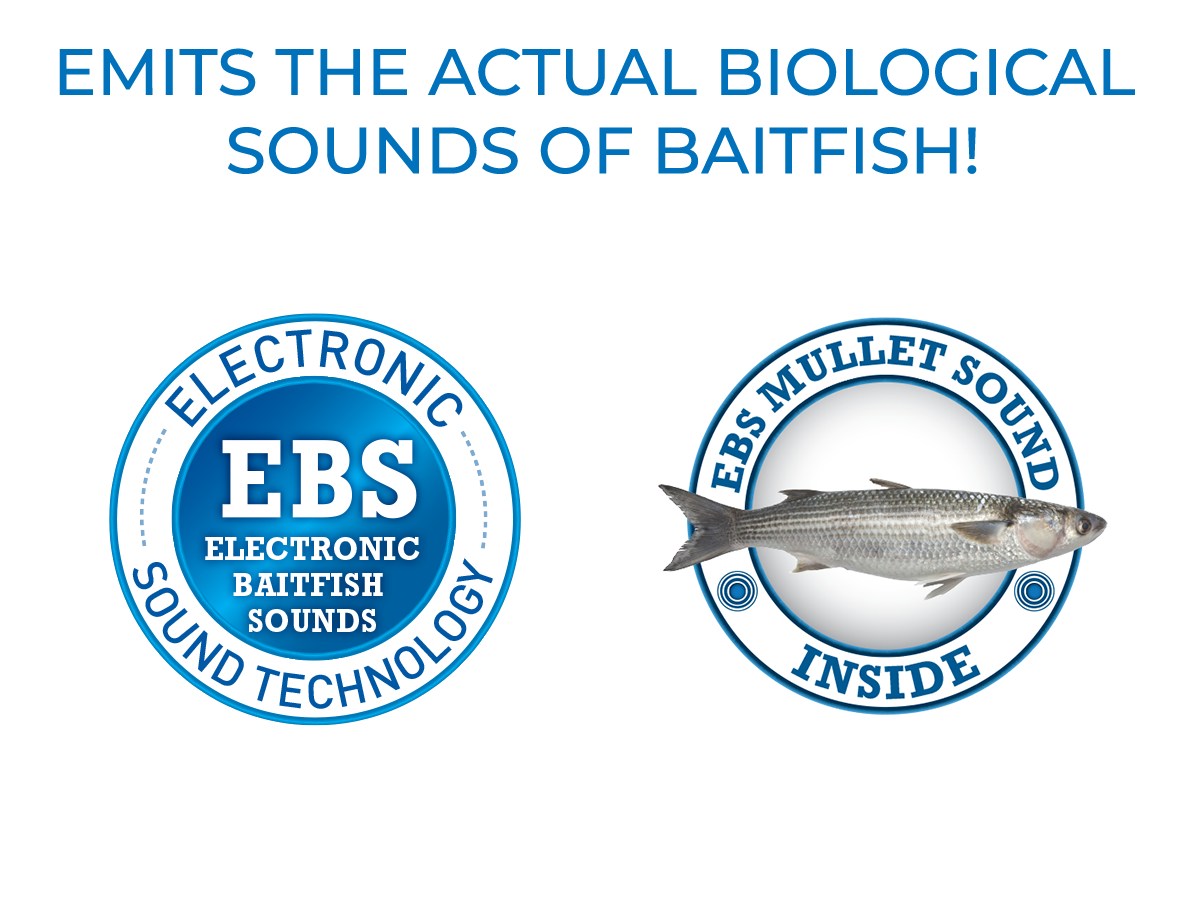 Livingston Lures EBS Mullet | Sinking Inshore Lipless Crankbait