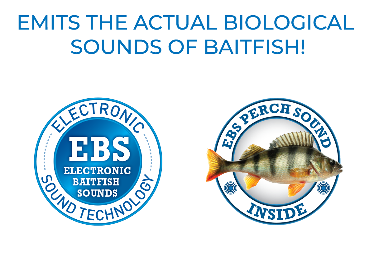 Livingston Lures EBS Spinner 50 | In-Line Spinner