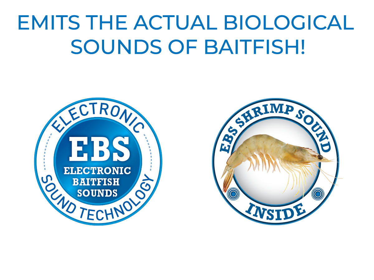 Livingston Lures EBS Mullet | Sinking Inshore Lipless Crankbait