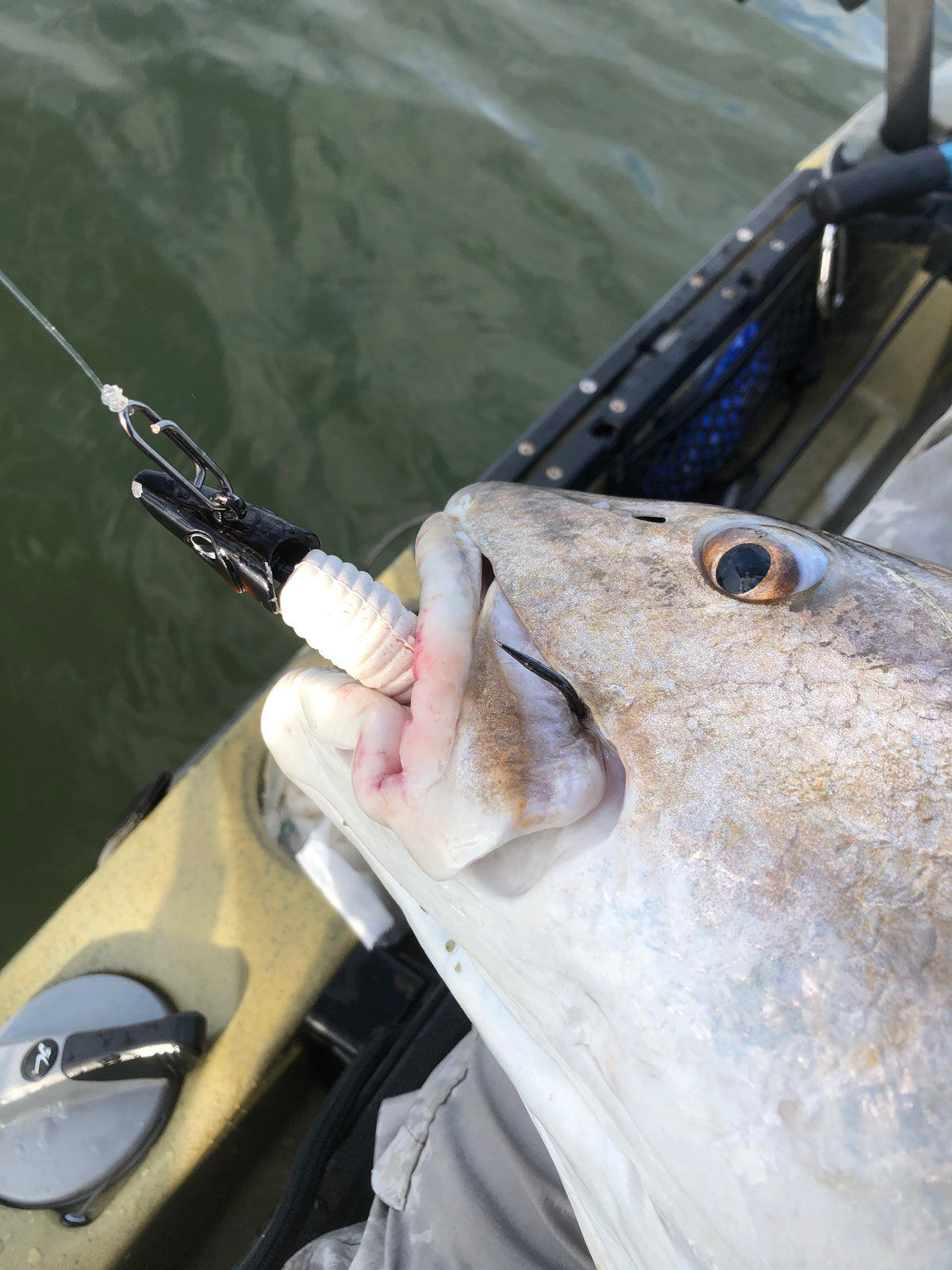 Topwater Co Medium Stainless Steel Speed Clips 70 lb