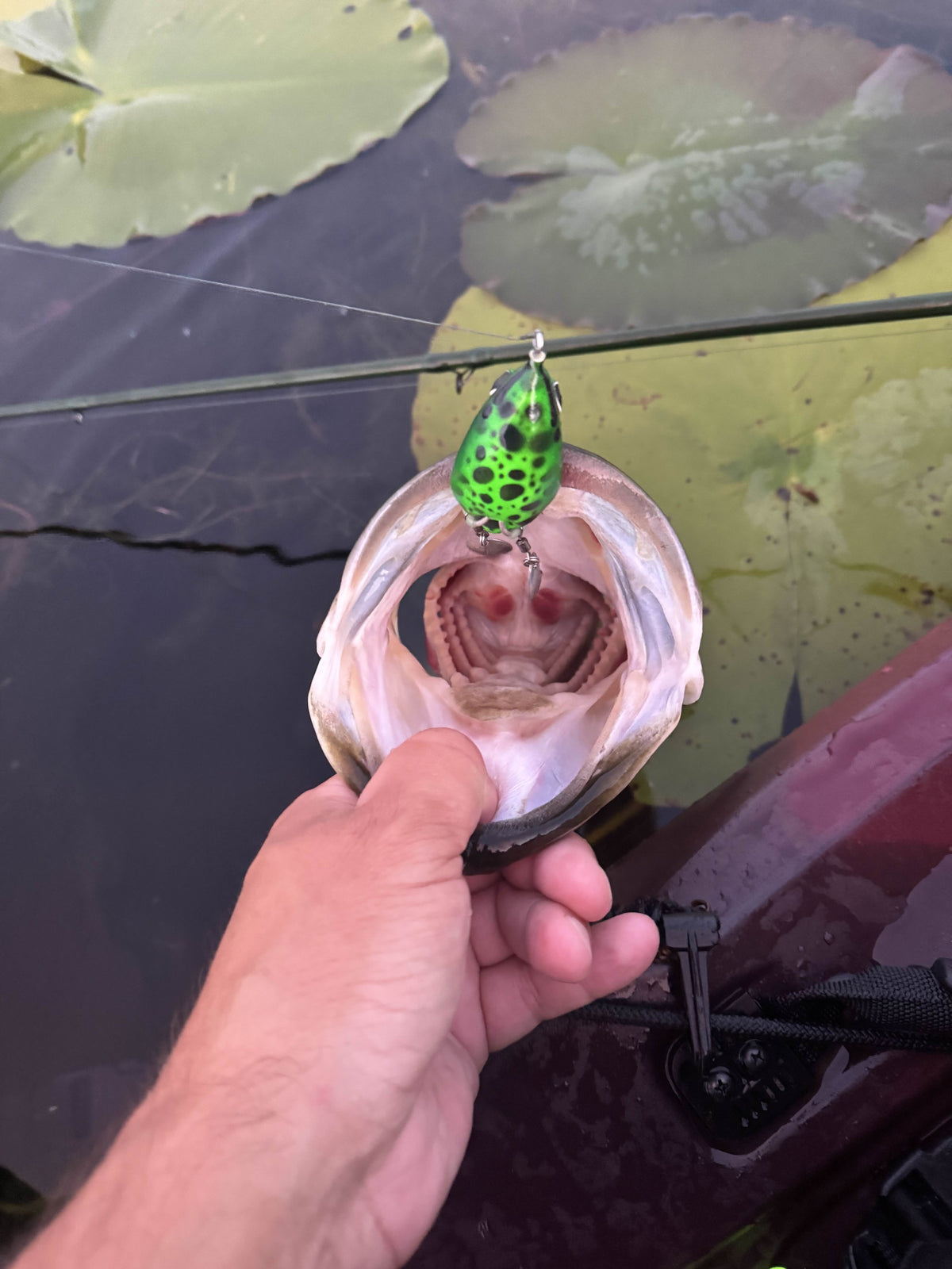 Invasive Lures Chop Frog Double-Bladed Topwater Frog