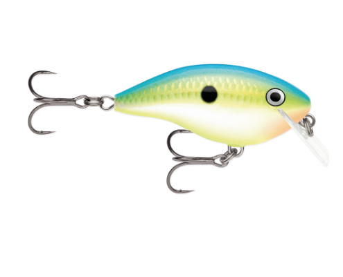 A vibrant blue, green, and yellow citrus shad fishing lure with hooks.