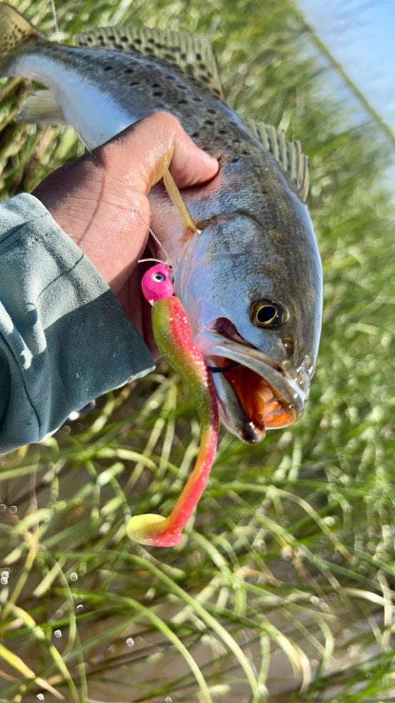 Knockin Tail Lure Chicken on a Chain 6pk — Built-In Tail Rattle | 4 in & 5 in