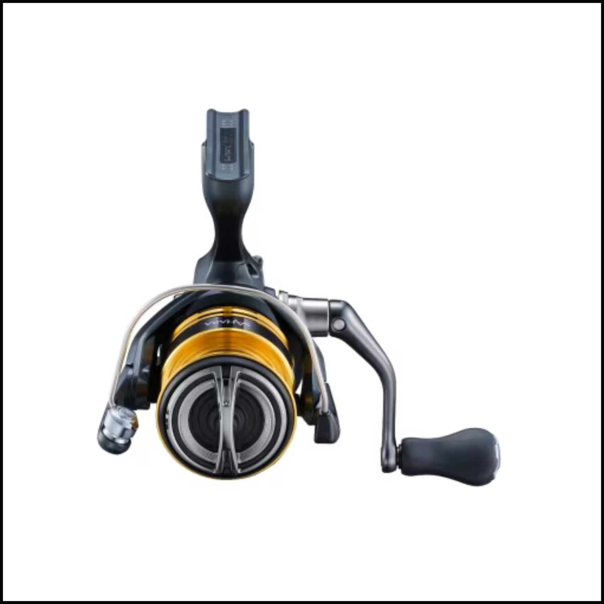 Shimano Sahara Spinning Reel