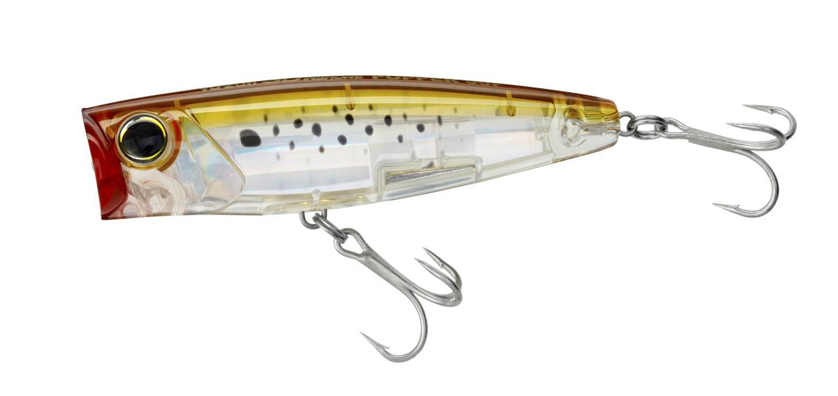 Yo-Zuri 3D Inshore Popper | Saltwater Topwater Lure