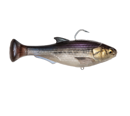 A realistic soft plastic fishing lure shaped like a small fish, shown from the side on a plain white background. The lure has a silver and gray scaled body, a dark brown tail, a gold-colored head, and a subtle iridescent purple sheen along the back.