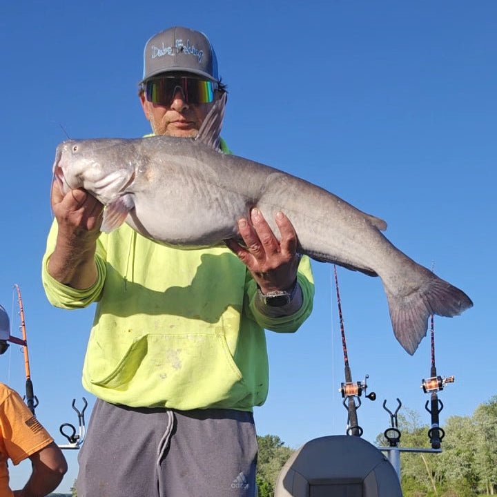 Catfish Pro Black Dragon Fire Casting Rod | 7'6" Glow