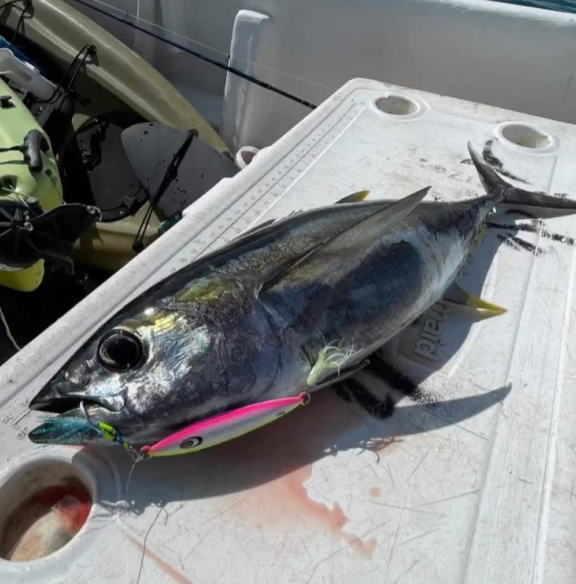 Kraken Jigz Rip Curl Slow Pitch Jig