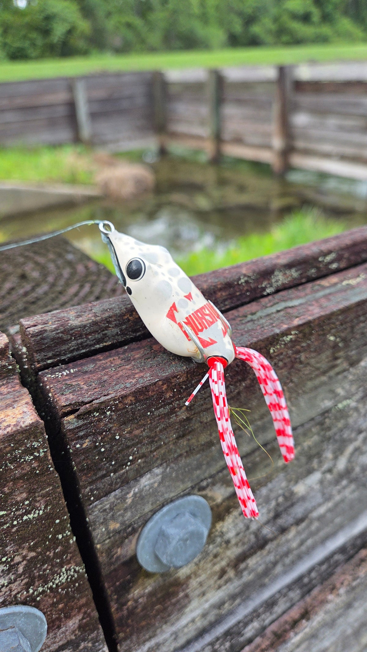 Invasive Lures Swamp Walker Hollow Body Frog