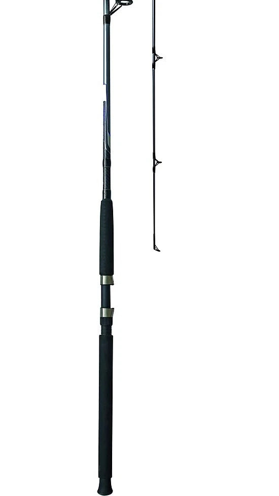 Dark two-piece spinning fishing rod with black grip and metallic reel seat.