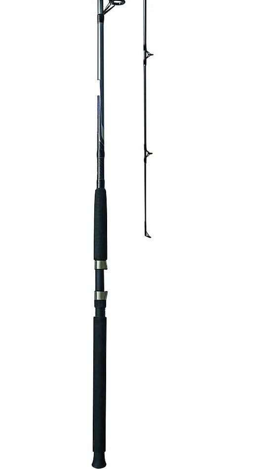 Dark two-piece spinning fishing rod with black grip and metallic reel seat.
