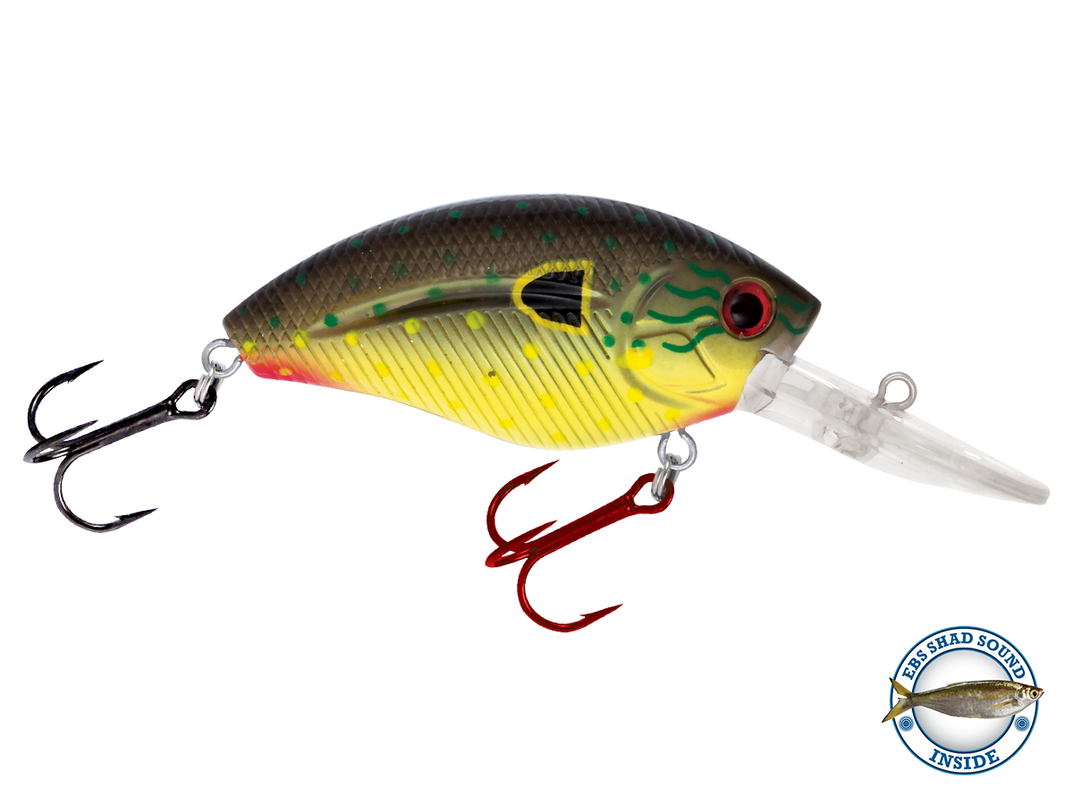 Livingston Lures Howeller DMC | EBS Medium-Diving Crankbait