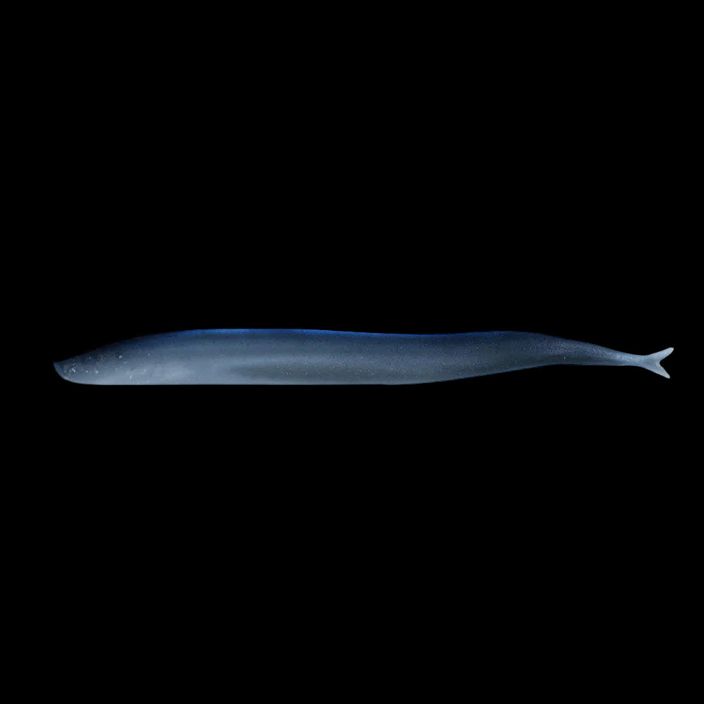 A realistic soft plastic fishing lure shaped like a small fish, shown in profile against a solid white background.