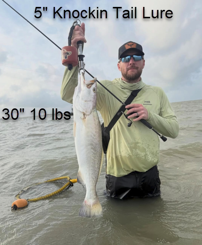 Knockin Tail Lure 5in Morning Glory 6pk — Built-In Tail Rattle