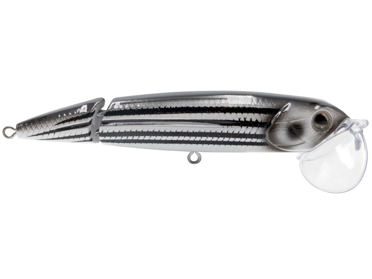 Livingston Lures Walking Boss II Jr. | 4" EBS Jointed Topwater