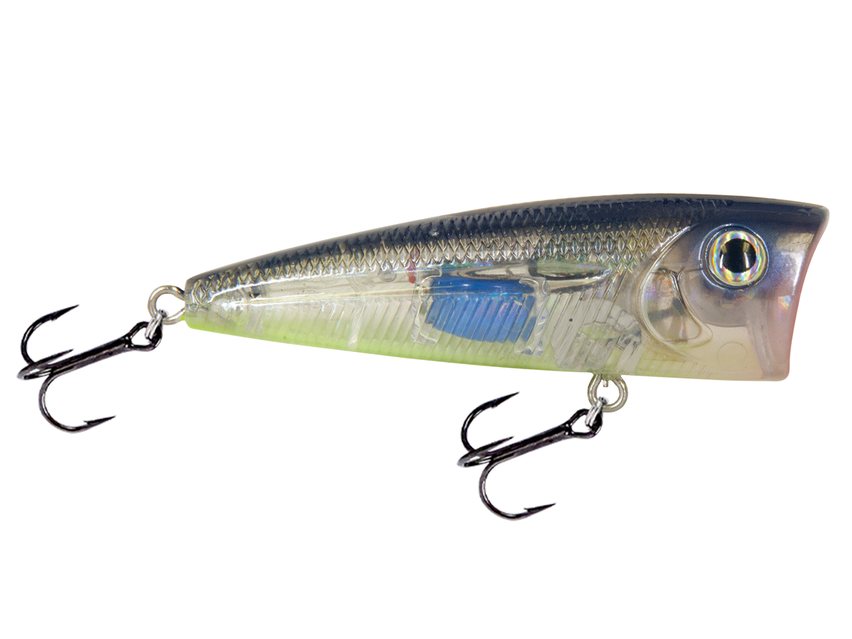 Livingston Lures Walk N Pop 77 | EBS Topwater Popper