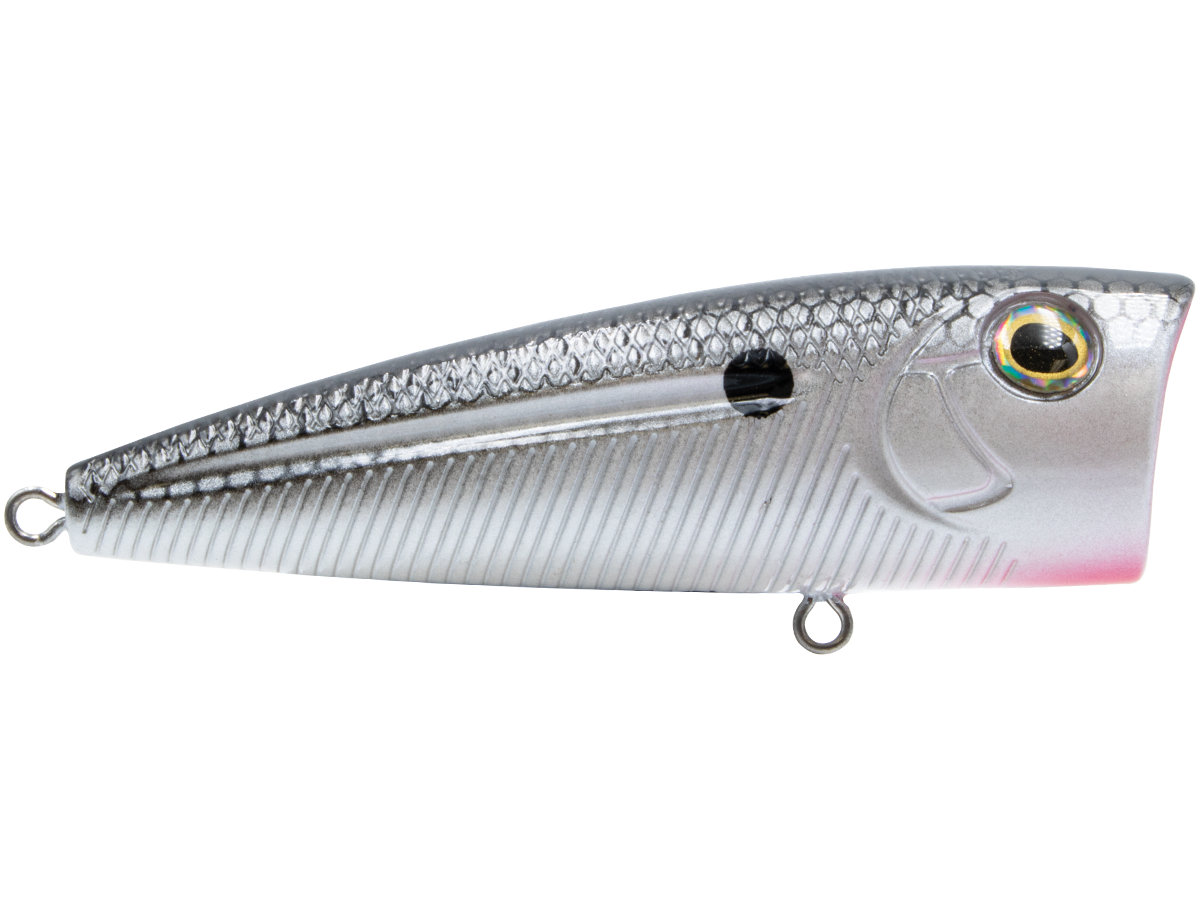 Livingston Lures Walk N Pop 67 | EBS Walking Topwater Popper