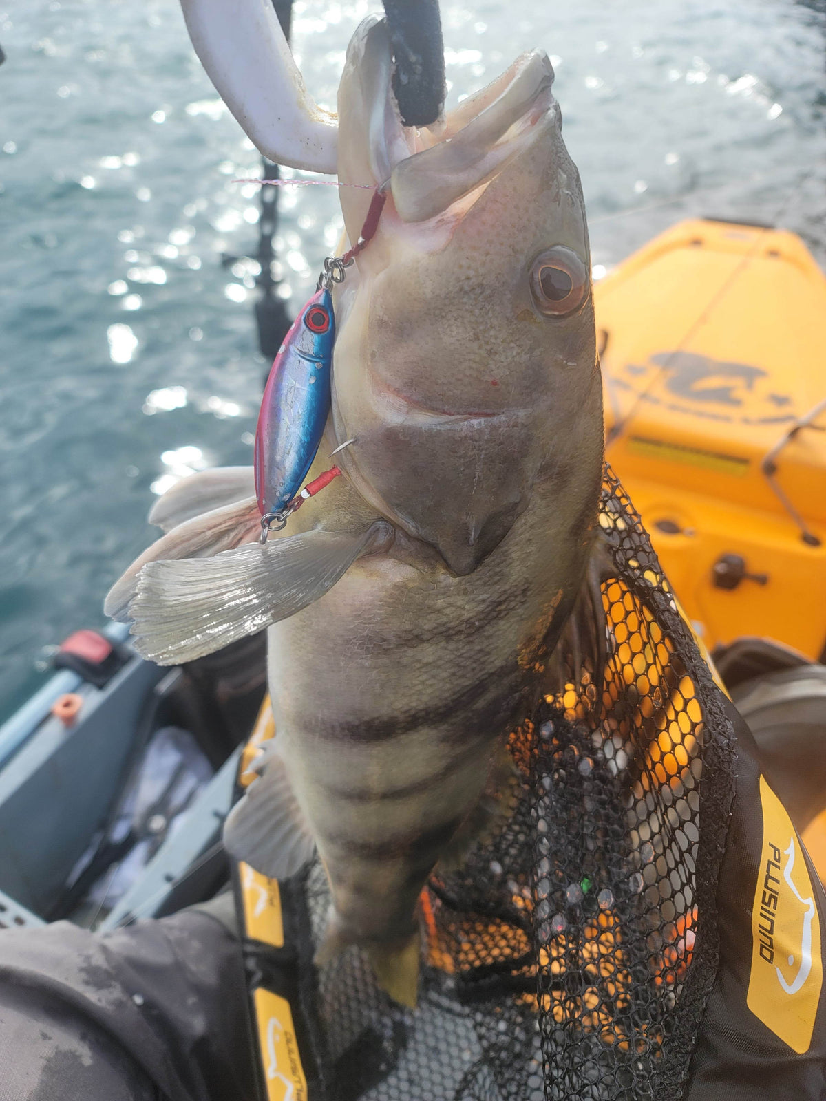 Submission Fishing Co. Sumo Slow Pitch Jig | Two-Face Rigging | Leaf Wobble | 40g & 60g | 5 Colors