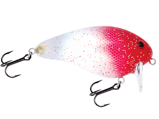 Livingston Lures Pro Wake | EBS Saltwater Wake Bait